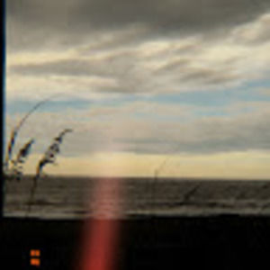 Meet your Posher, Fofiabobia